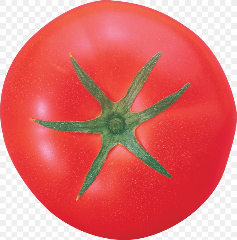 Tomato PhotoScape Vegetable, PNG, 1460x1477px, Tomato, Food, Fruit, Potato, Potato And Tomato Genus Download Free