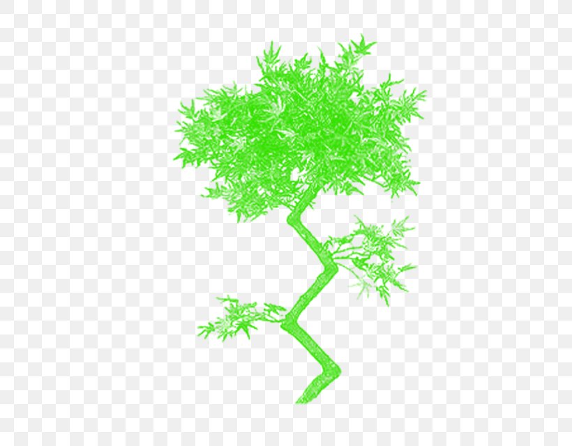 Vector Graphics Tree Branch Clip Art Plants, PNG, 640x640px, Tree, American Larch, Branch, Flower, Grass Download Free