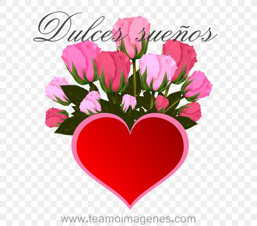 Clip Art Image Photography Drawing, PNG, 632x720px, Drawing, Carnation, Cut Flowers, Floral Design, Floristry Download Free