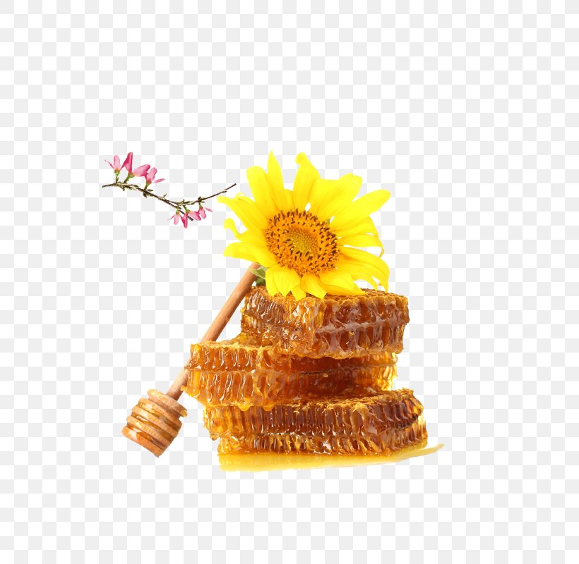 Honey Bee Honey Bee Comb Honey, PNG, 800x800px, Bee, Comb Honey, Flower, Fruit Preserves, Honey Download Free