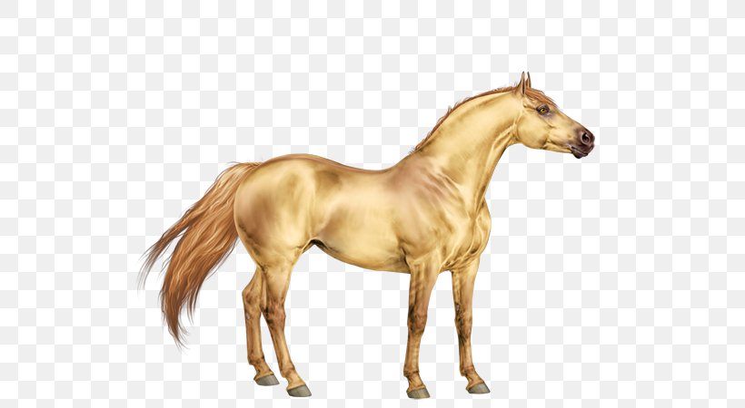 Mustang Appaloosa Pony Mane Stallion, PNG, 600x450px, Mustang, Animal Figure, Appaloosa, Breed, Colt Download Free