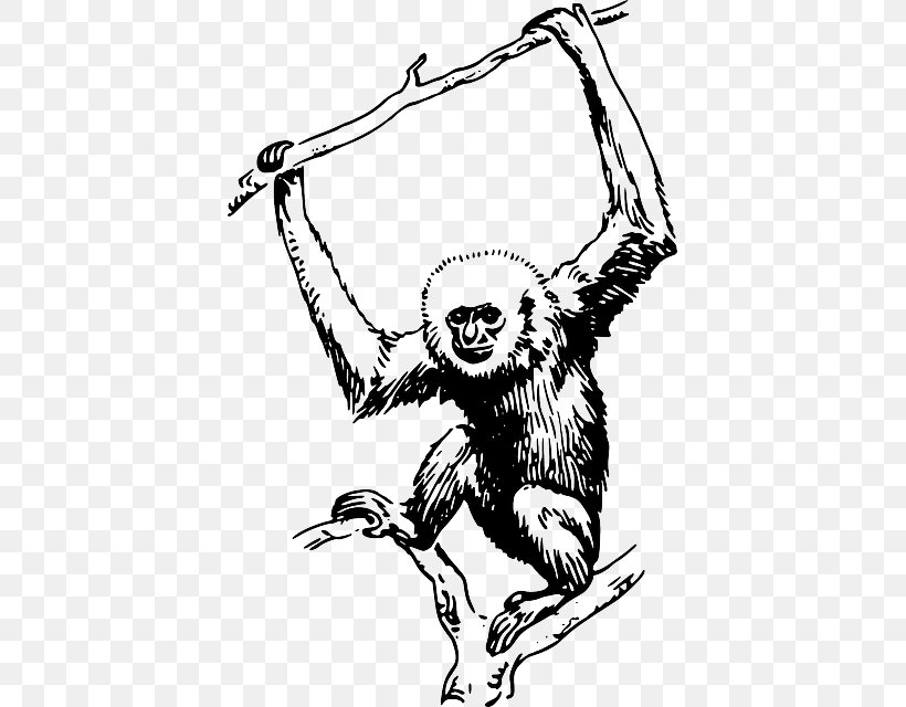 Primate Gorilla Gibbon Monkey Clip Art, PNG, 407x640px, Primate, Ape, Art, Artwork, Beak Download Free