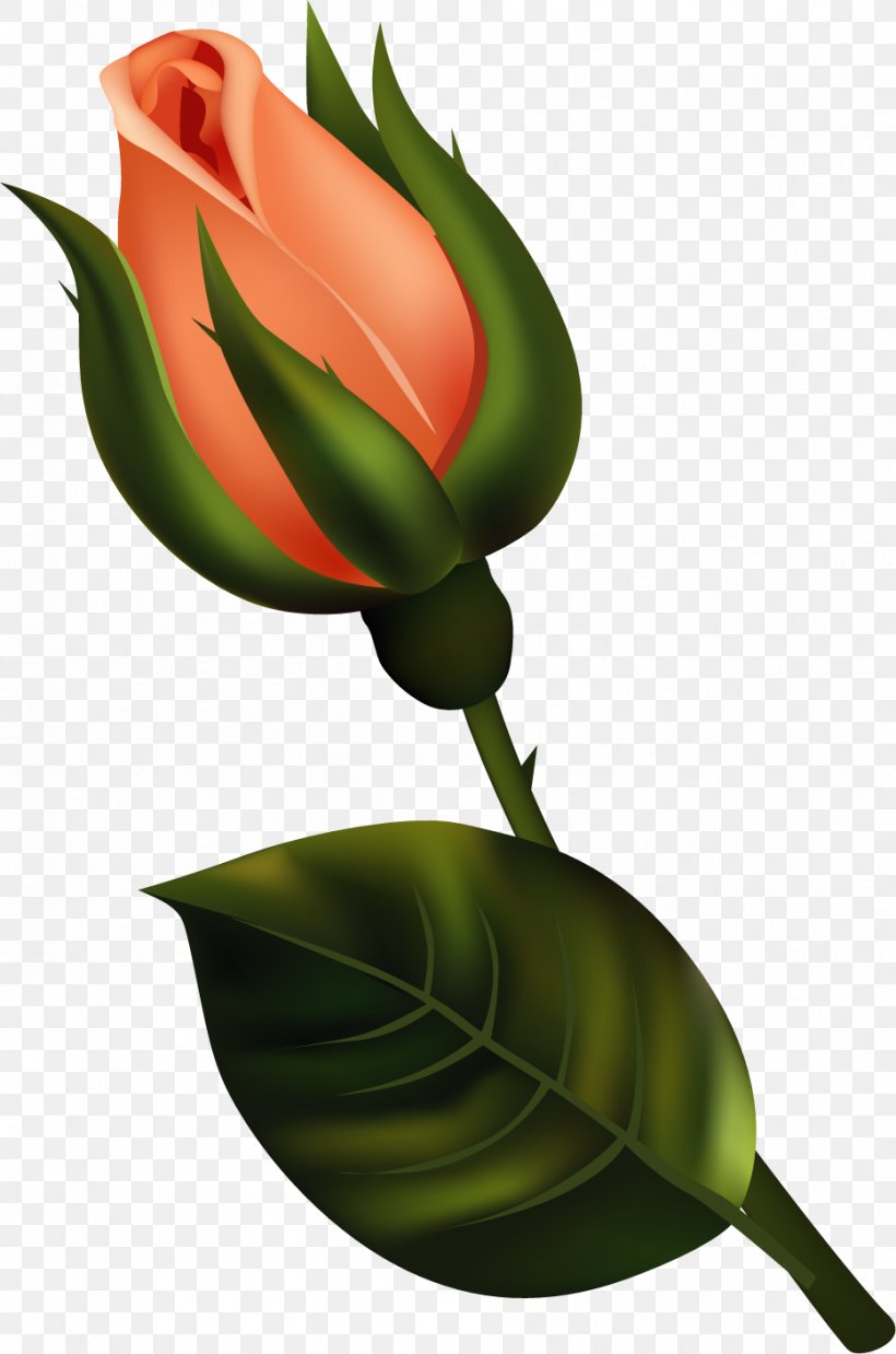 Bud Flower Clip Art, PNG, 933x1409px, Bud, Art, Cut Flowers, Flower, Flowering Plant Download Free