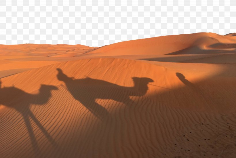 Dromedary Sahara Erg Desert, PNG, 4032x2704px, Dromedary, Aeolian Landform, Arabian Camel, Camel, Camel Like Mammal Download Free