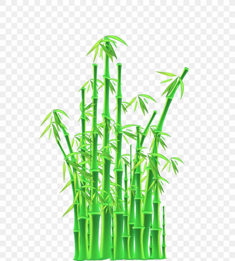 Euclidean Vector Bamboo Stock Photography, PNG, 900x1000px, Bamboo, Commodity, Flat Design, Flowerpot, Grass Download Free