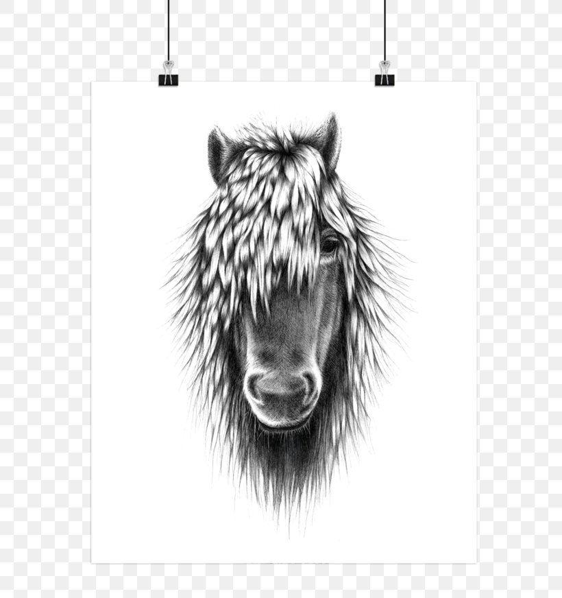 Horse Illustration Drawing Poster Image, PNG, 760x872px, Horse, Bahne, Bedroom, Black And White, Drawing Download Free