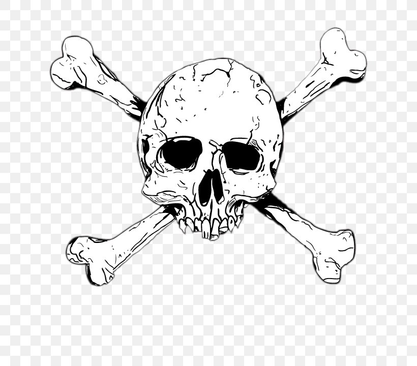 Skull Clip Art, PNG, 720x720px, 3d Computer Graphics, Skull, Black And White, Body Jewelry, Bone Download Free