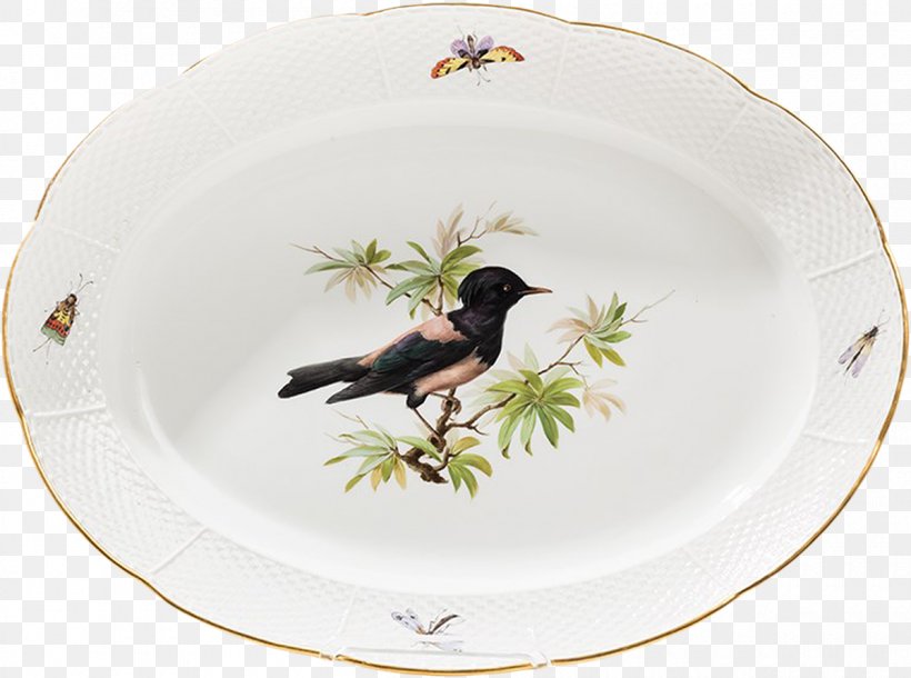 Tableware Plate Platter Porcelain Beak, PNG, 1200x894px, Tableware, Beak, Dinnerware Set, Dishware, Plate Download Free