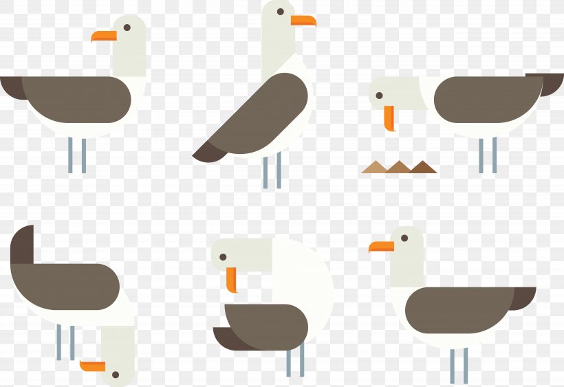 Water Bird, PNG, 5158x3544px, Water Bird, Albatross, Animal, Beak, Bird Download Free