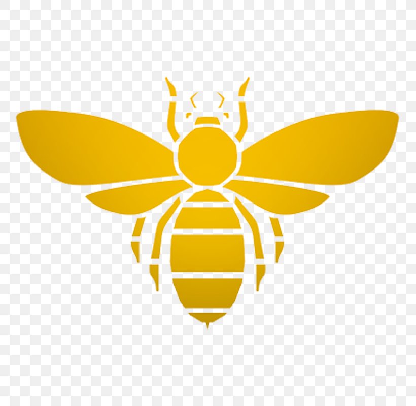Beeswax Lip Balm Amazon.com Honey Bee, PNG, 800x800px, Bee, Amazoncom, Arthropod, Beeswax, Butterfly Download Free