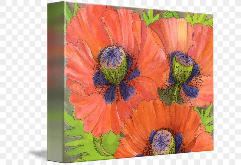 Common Poppy Art, PNG, 650x561px, Poppy, Acrylic Paint, Art, Color, Common Poppy Download Free