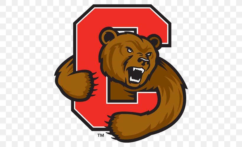 Cornell Big Red Men's Basketball Cornell University Cornell Big Red Men's Ice Hockey Cornell Big Red Football Cornell Big Red Baseball, PNG, 500x500px, Cornell University, Basketball, Bear, Carnivoran, Cartoon Download Free