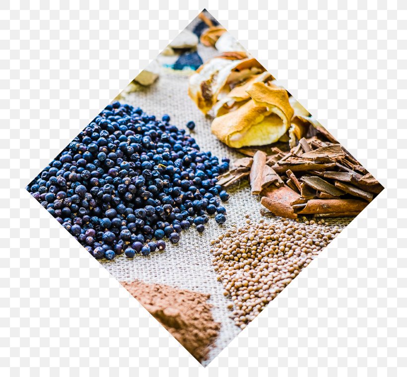 Distillation Gin Botanicals Danish Language, PNG, 760x760px, Distillation, Berries, Botanicals, Danish Language, Email Download Free