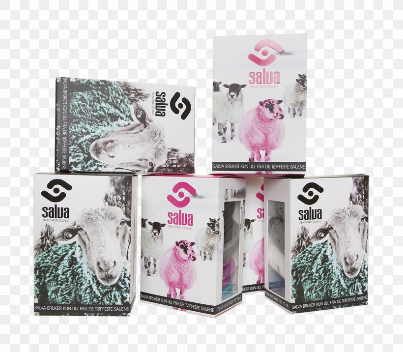 Esker Box Merino Sock Textile, PNG, 1200x1049px, Esker, Box, Cash, Currency, Merino Download Free