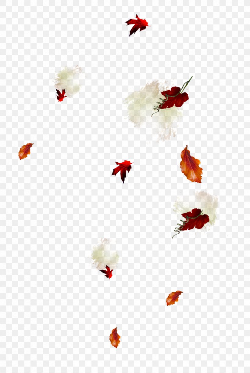 Leaf Autumn Abscission Clip Art, PNG, 859x1280px, Leaf, Abscission, Autumn, Daytime, Flower Download Free