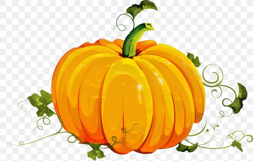 Pumpkin Vector Graphics Clip Art Image, PNG, 3500x2240px, Pumpkin, Art, Calabaza, Carving, Cucurbita Download Free