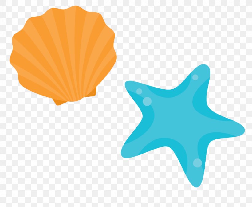 Shore Seashell Beach, PNG, 879x723px, Shore, Beach, Coast, Invertebrate, Mollusc Shell Download Free