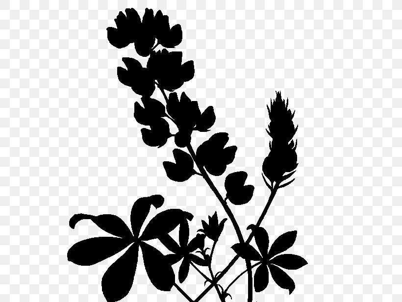 Twig Plant Stem Leaf Font Silhouette, PNG, 562x616px, Twig, Blackandwhite, Botany, Branch, Flower Download Free