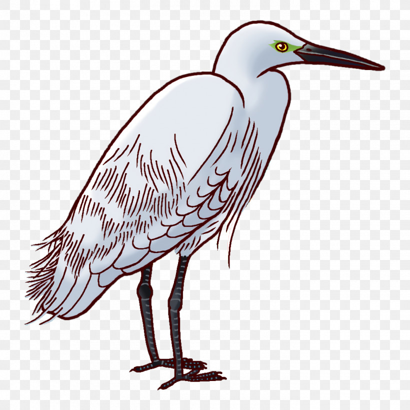 Egret Stork Birds Herons Beak, PNG, 1400x1400px, Egret, Beak, Birds, Blue Jay, Crane Download Free
