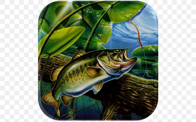 Largemouth Bass Bass Fishing Fly Fishing, PNG, 512x512px, Largemouth Bass, Art, Bass, Bass Fishing, Fauna Download Free