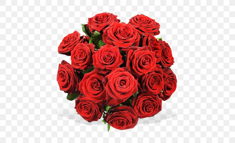 Rose Flower Bouquet Germany Interflora, PNG, 500x500px, Rose, Blume, Cut Flowers, Delivery, Floral Design Download Free
