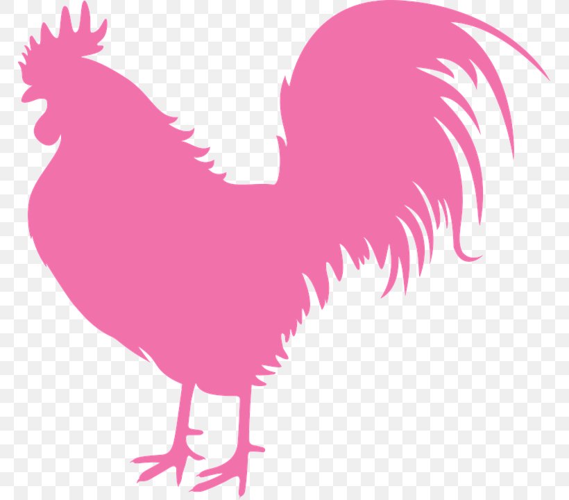 Vector Graphics Image Stock.xchng Shutterstock Drawing, PNG, 767x720px, Drawing, Beak, Bird, Chicken, Dog Download Free