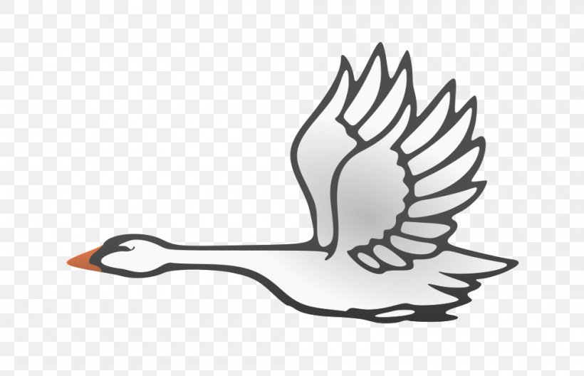 Bird Cygnini Flight Duck Goose, PNG, 1000x645px, Bird, Anatidae, Beak, Black And White, Chicken Download Free