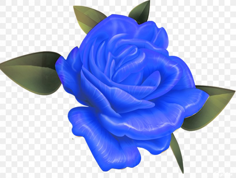 Blue Rose Garden Roses Flower, PNG, 1200x905px, Blue, Blue Rose, Cobalt Blue, Cut Flowers, Electric Blue Download Free