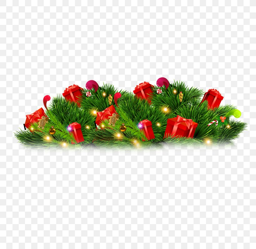 Christmas Tree Desktop Wallpaper Download, PNG, 800x800px, Christmas, Christmas Decoration, Christmas Tree, Floral Design, Flower Download Free