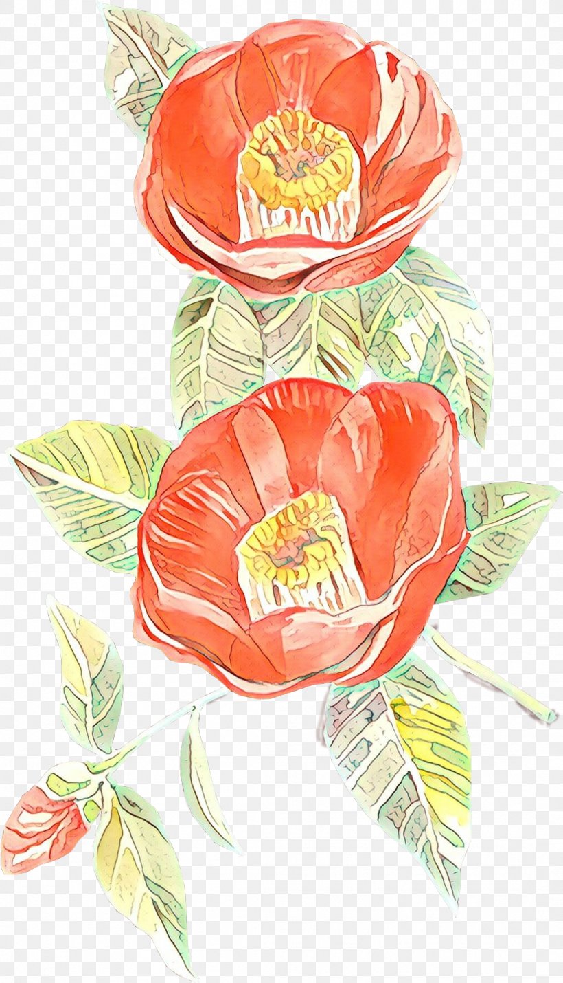 Flowers Background, PNG, 1087x1896px, Cartoon, Anthurium, Botany, Cut Flowers, Floral Design Download Free