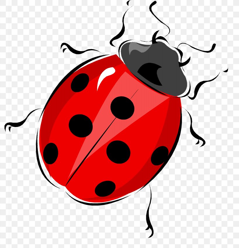Ladybird Life Cycle Of A Ladybug Diagram Beetle Worksheet, PNG, 2458x2559px, Ladybird, Anatomy, Antenna, Artwork, Beetle Download Free