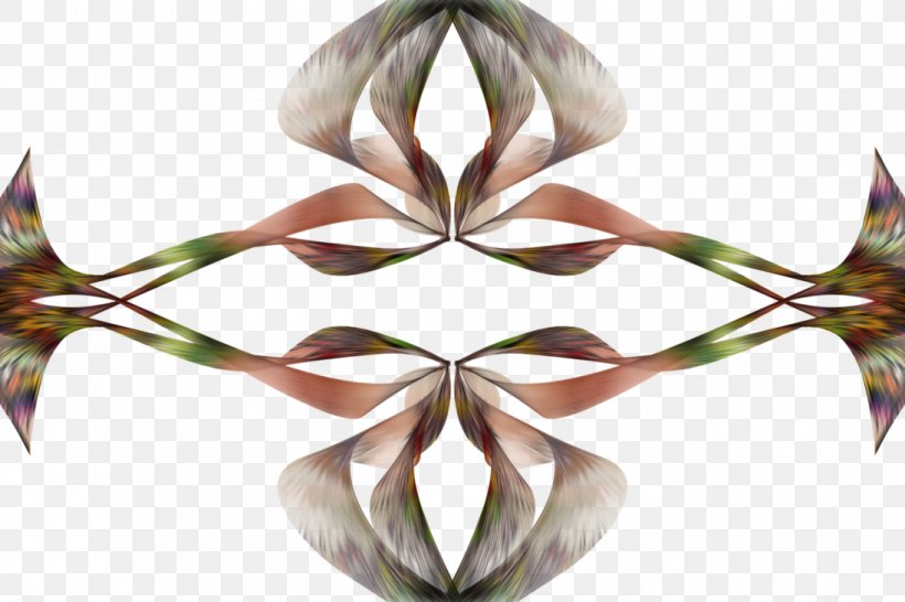 Petal Symmetry, PNG, 1095x730px, Petal, Flora, Flower, Plant, Symmetry Download Free