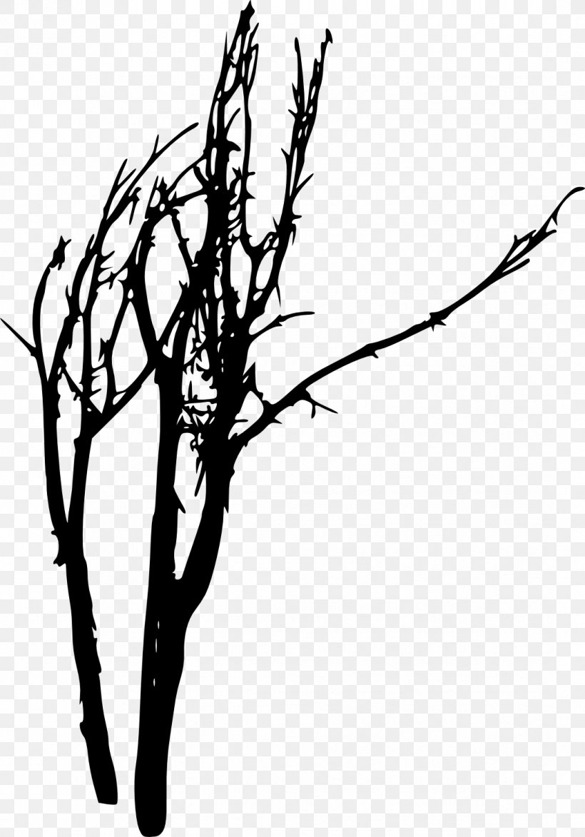 Tree Photography Woody Plant Silhouette Twig, PNG, 1082x1548px, Tree, Art, Black And White, Branch, Flora Download Free
