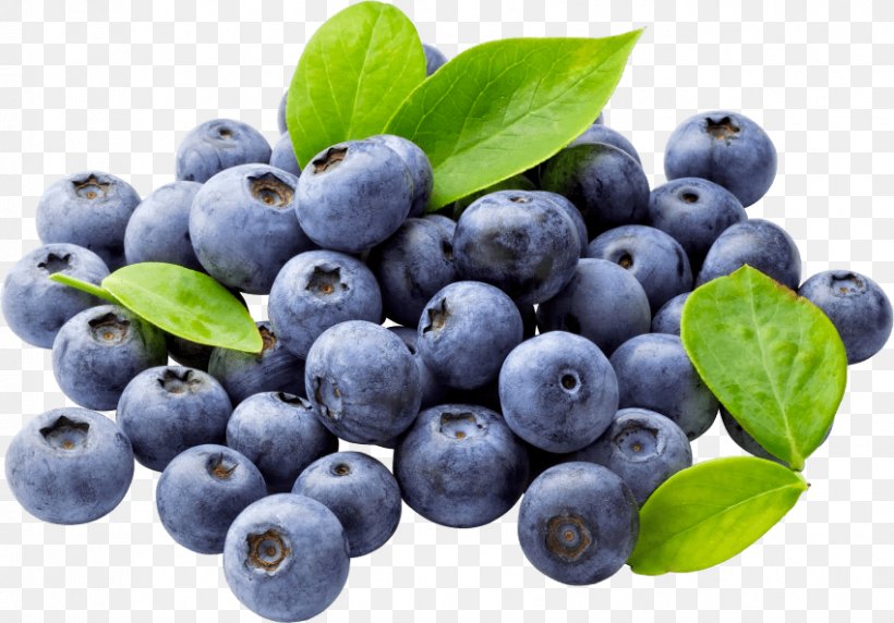 Blueberry Organic Food Bilberry, PNG, 850x593px, Blueberry, Aristotelia Chilensis, Berry, Bilberry, Blueberry Tea Download Free