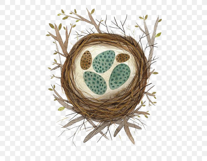 Cartoon Bird Illustration, PNG, 506x640px, Cartoon, Art, Bird, Bird Nest, Egg Download Free