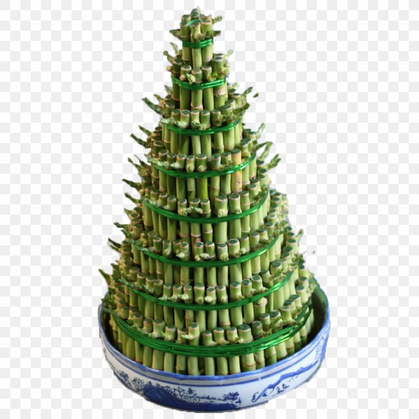 Christmas Tree Spruce Fir Christmas Ornament, PNG, 1000x1000px, Christmas Tree, Christmas, Christmas Decoration, Christmas Ornament, Conifer Download Free