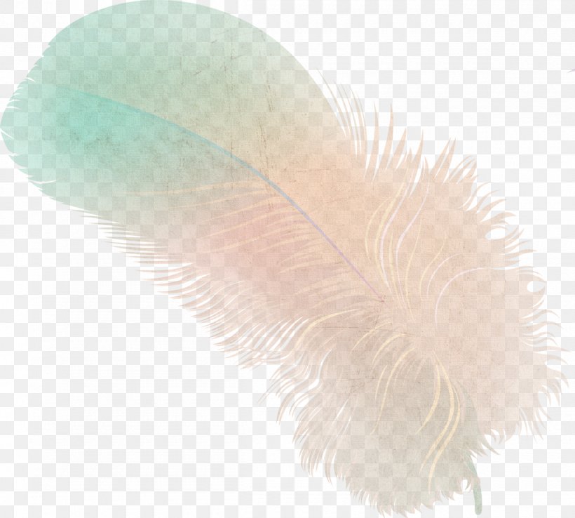 Feather, PNG, 1200x1081px, Feather, Wing Download Free