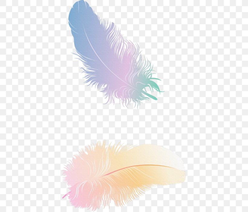 Feather, PNG, 411x699px, Feather, Quill, Wing Download Free