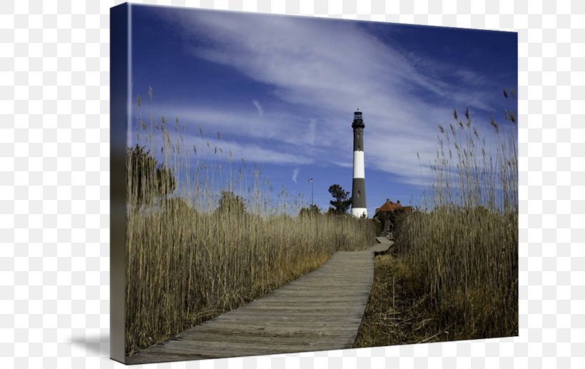 Fire Island Lighthouse Gallery Wrap Inlet Canvas, PNG, 650x517px, Lighthouse, Art, Canvas, Fire Island, Gallery Wrap Download Free
