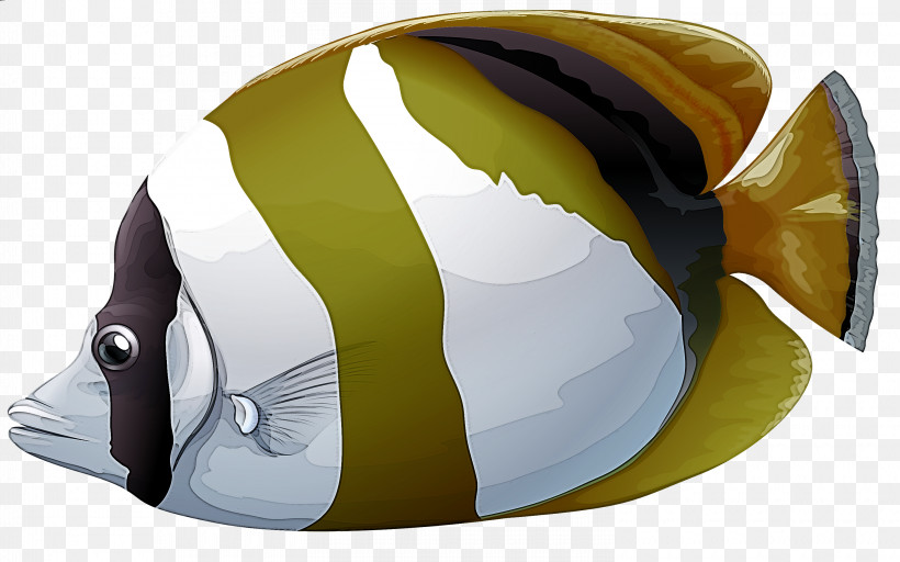 Fish Helmet Butterflyfish Personal Protective Equipment Fish, PNG, 3000x1874px, Fish, Butterflyfish, Helmet, Personal Protective Equipment Download Free