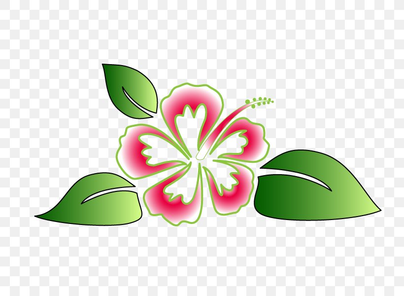 Hawaii Hou02bboponopono Luau Clip Art, PNG, 800x600px, Hawaii, Flora, Floral Design, Floristry, Flower Download Free