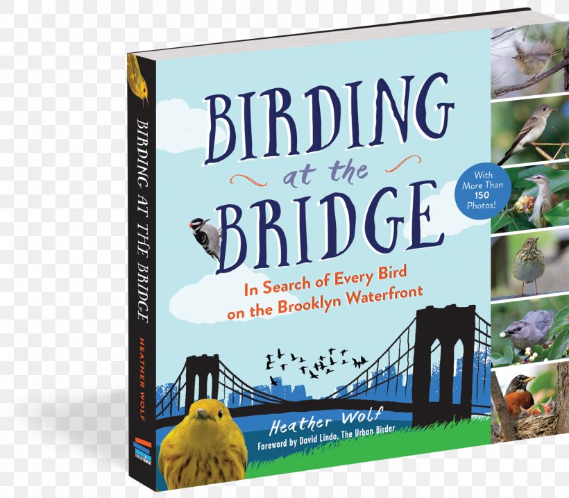 Birding At The Bridge: In Search Of Every Bird On The Brooklyn Waterfront Birdwatching Great Florida Birding Trail How To Be An Urban Birder, PNG, 1594x1395px, Bird, Advertising, Banner, Birdwatching, Book Download Free