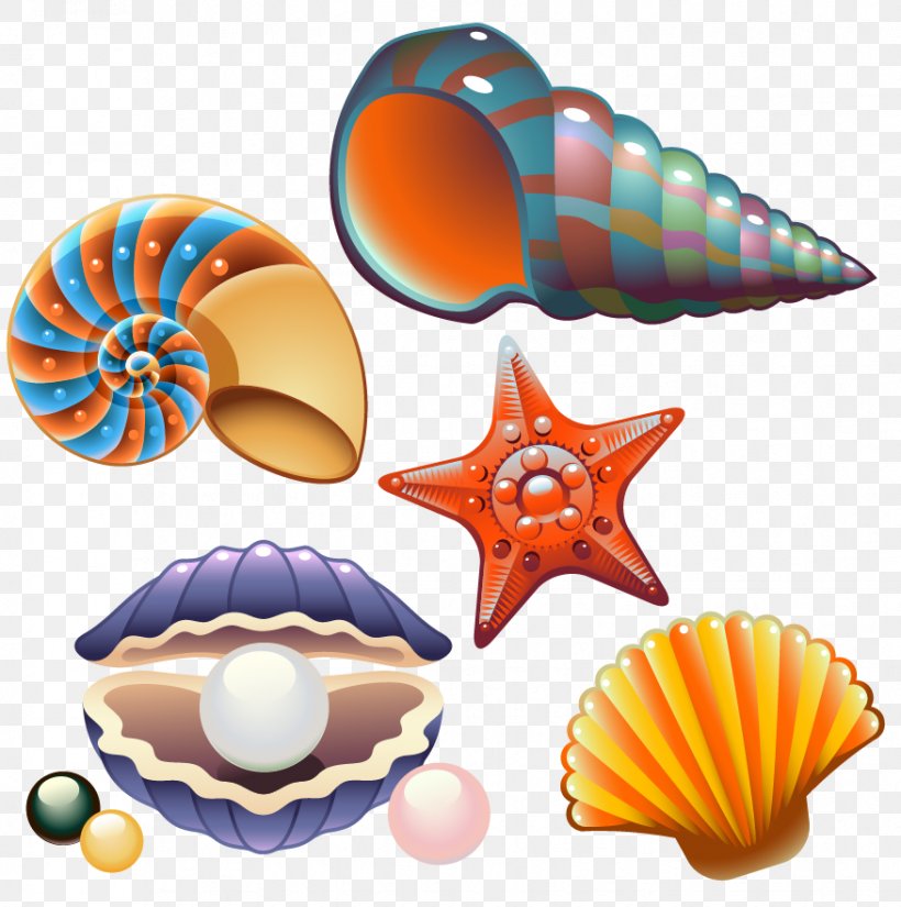 Clam Seashell Nautilidae Clip Art, PNG, 876x882px, Clam, Drawing, Mollusc Shell, Nautilida, Nautilidae Download Free
