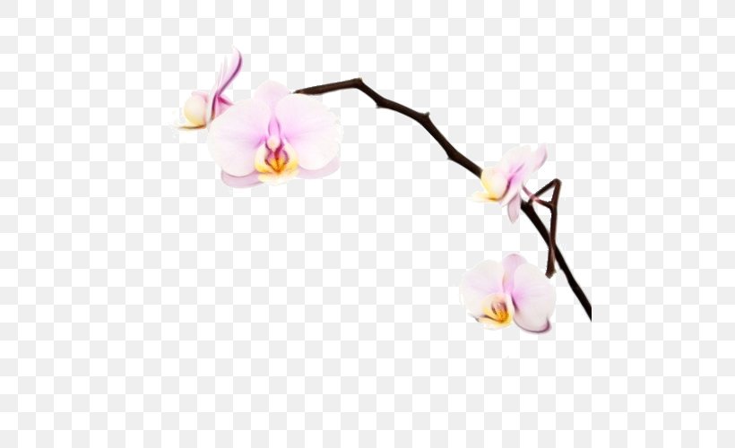 Flower Moth Orchid Plant Branch Petal, PNG, 500x500px, Watercolor, Blossom, Branch, Dendrobium, Flower Download Free