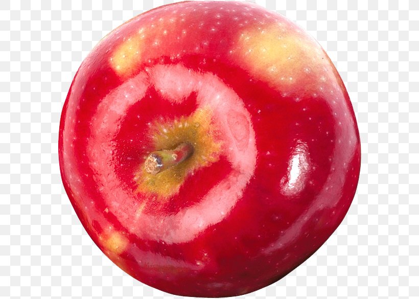 Germany Narrenhände Beschmieren Tisch Und Wände Pluot Note-taking Apple, PNG, 596x585px, Germany, Accessory Fruit, Apple, Food, Fruit Download Free