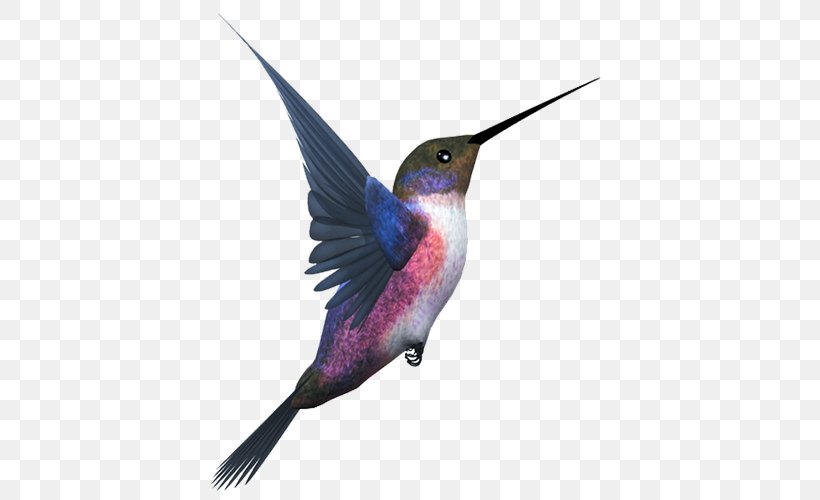 Hummingbird Flight Clip Art, PNG, 500x500px, Bird, Beak, Birdwatching, Blue, European Robin Download Free