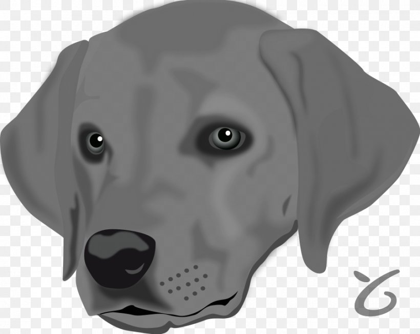 Labrador Retriever Puppy Clip Art, PNG, 900x715px, Labrador Retriever, Animal, Carnivoran, Dog, Dog Breed Download Free
