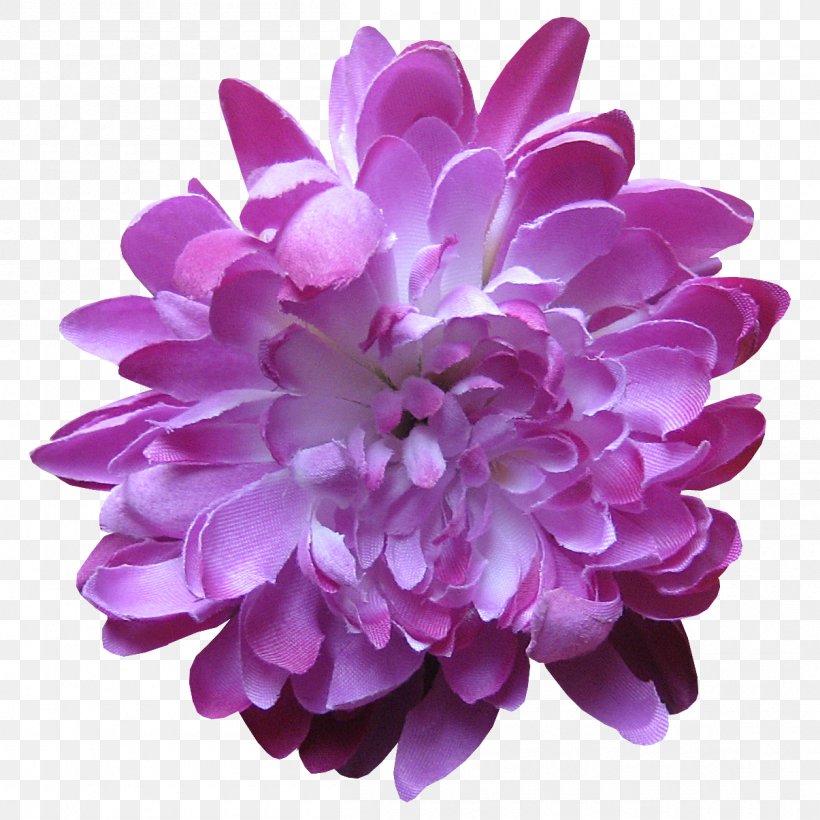 Lavender Flower Lilac Violet Purple, PNG, 1205x1205px, Lavender, Chrysanthemum, Chrysanths, Cut Flowers, Dahlia Download Free