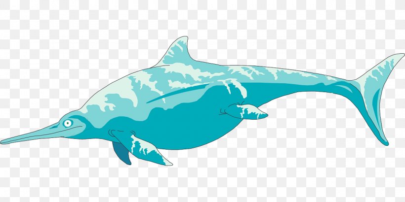 Rough-toothed Dolphin Clip Art Vector Graphics Ichthyosaur Image, PNG, 1280x640px, Roughtoothed Dolphin, Aqua, Cartilaginous Fish, Dolphin, Electric Blue Download Free