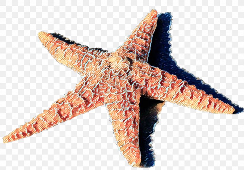 Star Cartoon, PNG, 960x670px, Starfish, Star, Video Download Free